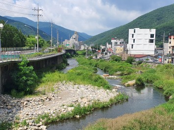 사북문화거리(파랑새마을길 조성사업) 조경공사(상하진동)