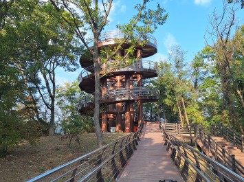 용두산훼손지 도시생태복원사업 중 무장애탐방로